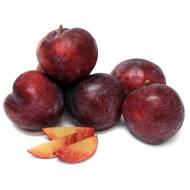 Саженец сливово-абрикосовый гибрид Кинг-Конг в контейнере